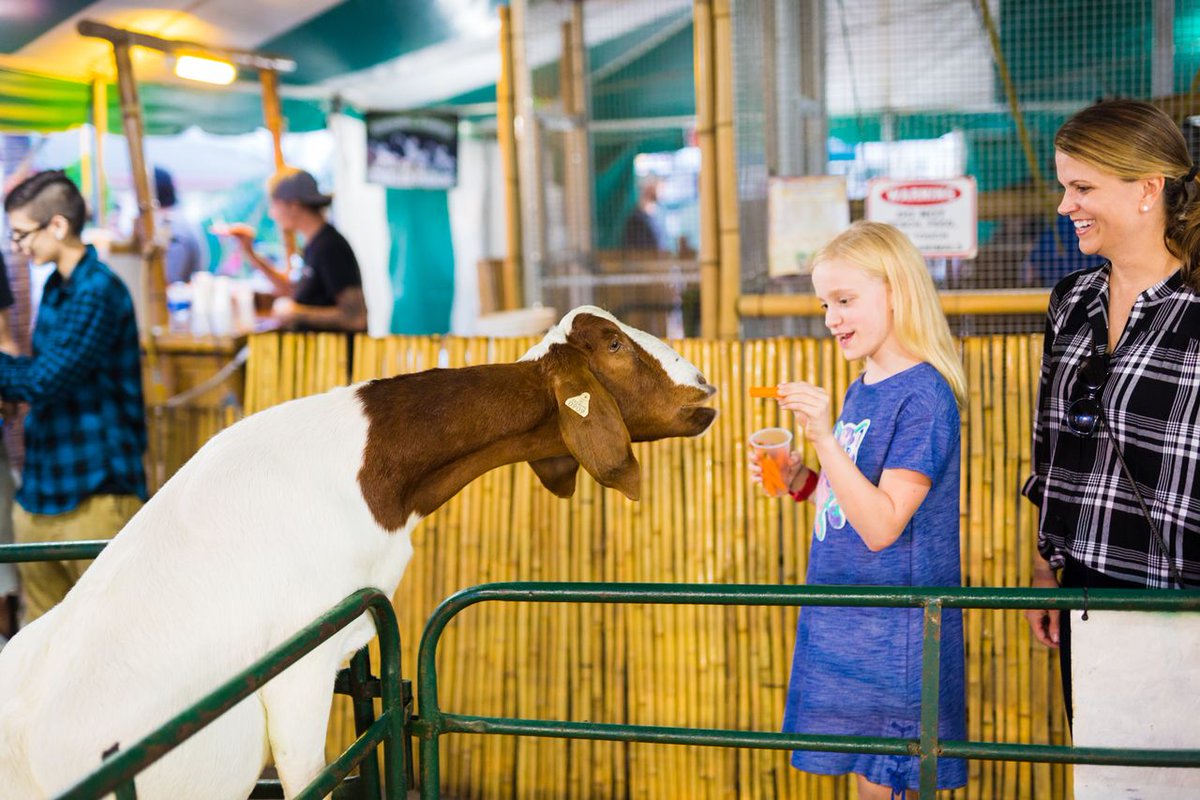 It's National Farm Animal Day, and we sure do love our farm friends! From the Commerford Petting Zoo to the daily Swifty Swine Races and everything in between, the farm animals are always a fan favorite here at the #SCStateFair 🐷🐄🐴 What are your favorites?