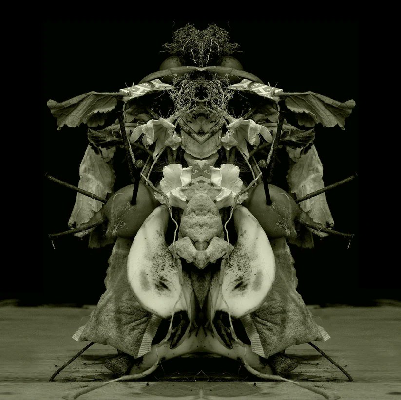 lasdunasrecords (@lasdunasrecords) on Twitter photo EN STOCK! "Uzo Oto" de Gurun Gurun
Misterioso álbum ambient de esta banda originaria de Checoslovaquia. Grabado en vivo.
Improvisaciones que crean atmósferas hipnóticas.
Editado por <a href="/buhrecords/">Buh Records</a>
ORDENA AQUI ⬇️
lasdunasrecords.com/products/gurun… EN STOCK! "Uzo Oto" de Gurun Gurun
Misterioso álbum ambient de esta banda originaria de Checoslovaquia. Grabado en vivo.
Improvisaciones que crean atmósferas hipnóticas.
Editado por <a href="/buhrecords/">Buh Records</a>
ORDENA AQUI ⬇️
lasdunasrecords.com/products/gurun…