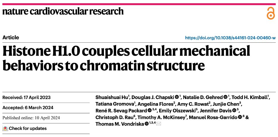 Please have a look at our publication out today led by Dr Shuaishuai Hu. We are excited that these findings may open a new area of research into how cells couple force generation, nuclear organization and transcription via histone stoichiometry rdcu.be/dEkOL @NatureCVR