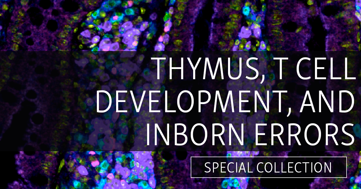 We're pleased to present a special collection to accompany the annual meeting of the Henry Kunkel Society: “The Thymus: From Biology to Medicine and Back.” Explore work on thymic epithelial cells, T cell development, T cell tolerance & autoimmunity, & more hubs.la/Q02sjrNc0