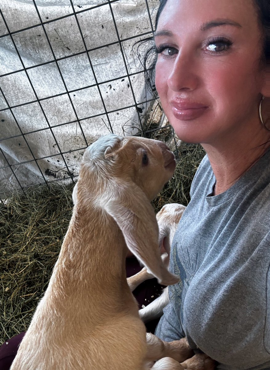 Good morning 😊 #GooMorningEveryone #goats #FarmLife #babygoats #purejoy