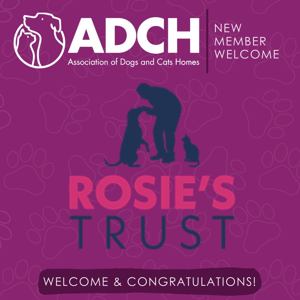 New ADCH Member alert!🎉 We are super excited to welcome @rosiestrust as a new Full ADCH Member, following their recent external assessment. Huge congratulations and a warm welcome to our ADCH community💜 You can read more about them here➡️ buff.ly/49zdp8S