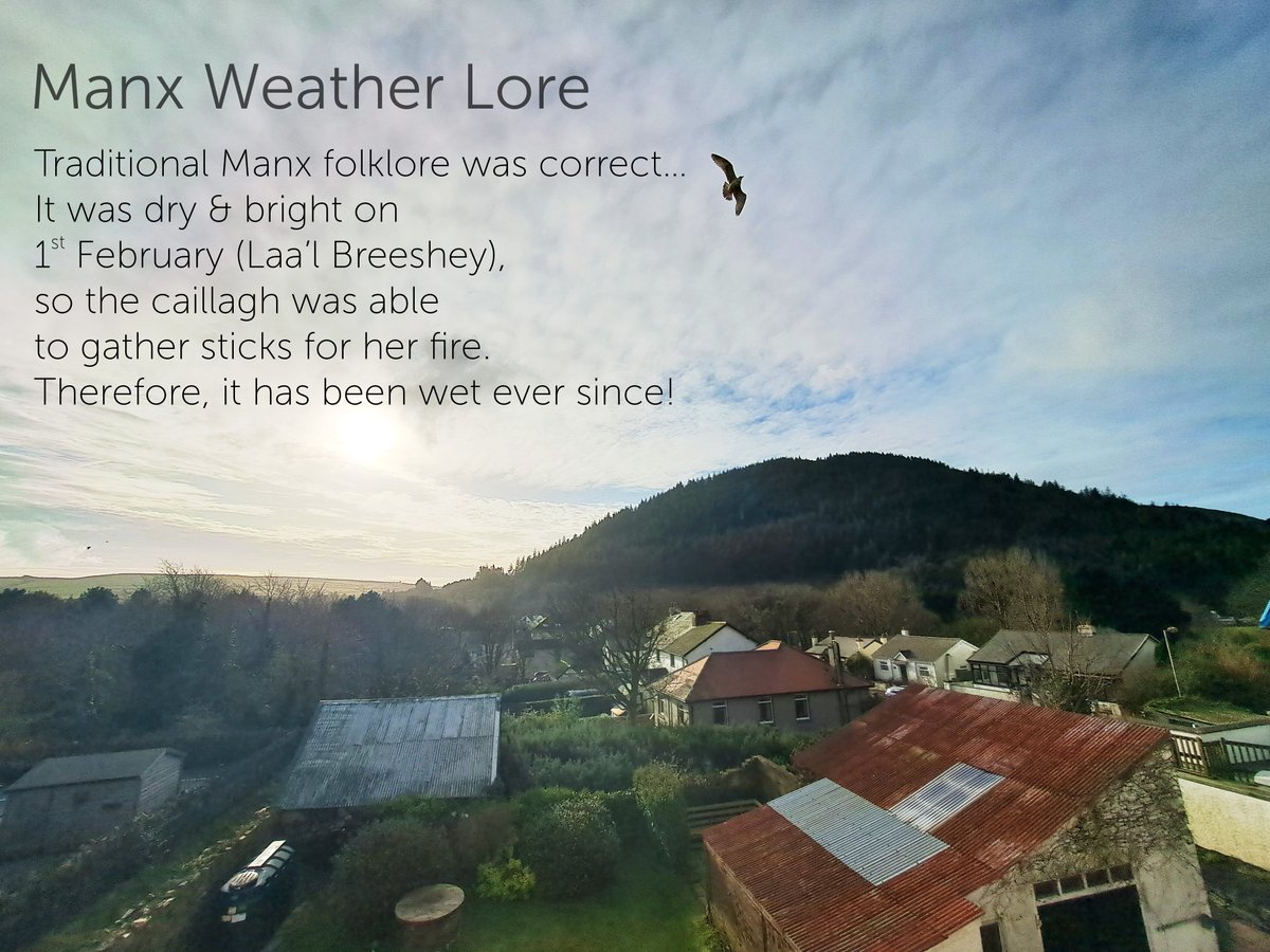 Manx #folklore predicted this awful weather... #LaalBreeshey (1 Feb) was glorious this year, so spring has been atrocious ever since! culturevannin.im/manxfolklore/l… #ManxFolklore #isleofman #weatherlore