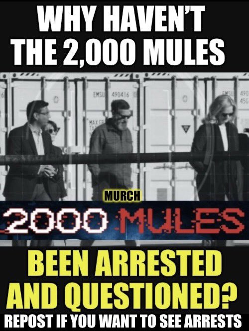 Why doesn’t a local Sheriff go arrest one? State police? Anyone? It’s amazing. No one will even question them. No one goes to the same damn mailboxes multiple times in a day, not even a postal carrier. Who agrees and wants to see some arrests still? 🙋‍♂️