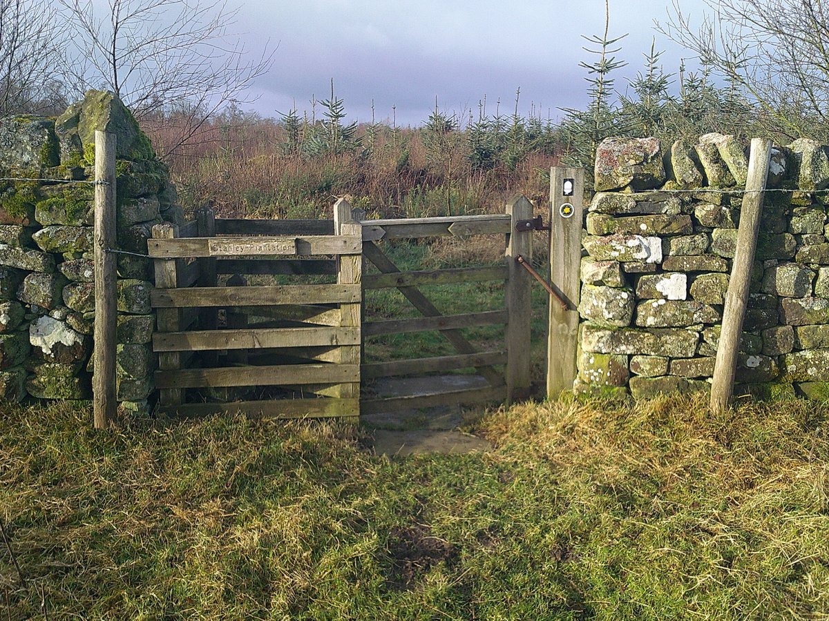 So many favourite spots on Portgate to Heavenfield section of Hadrian's Wall Path National Trail. Going to sign off with pictures of some of them. East end kissing gate at Stanley Plantation in Wall mile 23.