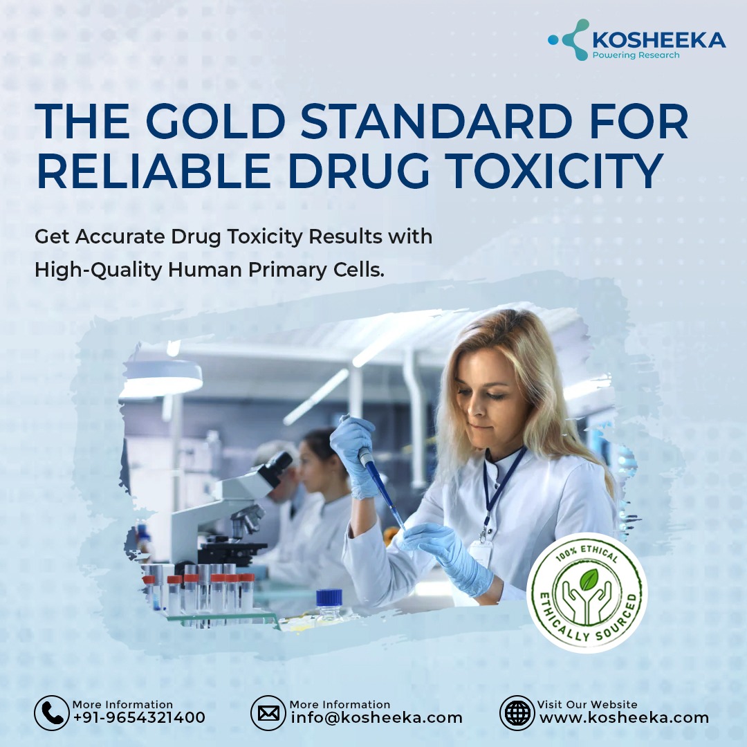Tired of unreliable drug toxicity results?  Human #primarycells are the gold standard for in vitro testing, offering:
• Superior Accuracy
• Reliable Results

Get the confidence you need for safe and effective #drugdevelopment.

Call +91-9654321400 to get a quotation.