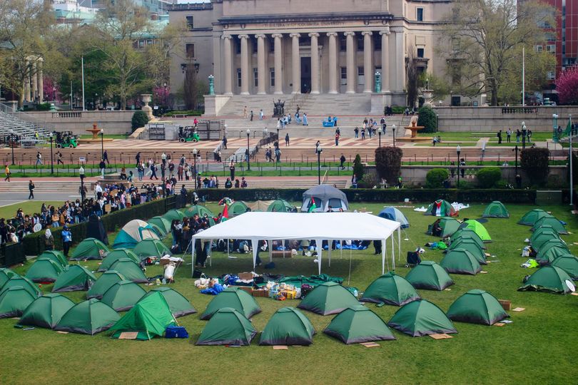 Ależ przypadek na tych obozowiskach namiotowych na kampusach w USA.
Prawie wszystkie namioty są identyczne – ten sam model, ten sam rozmiar i wszystkie nowiutkie. Studenci spontanicznie to zorganizowali, być może te modele były w jakiejś promocyjnej cenie 🤔😉
 A może przy