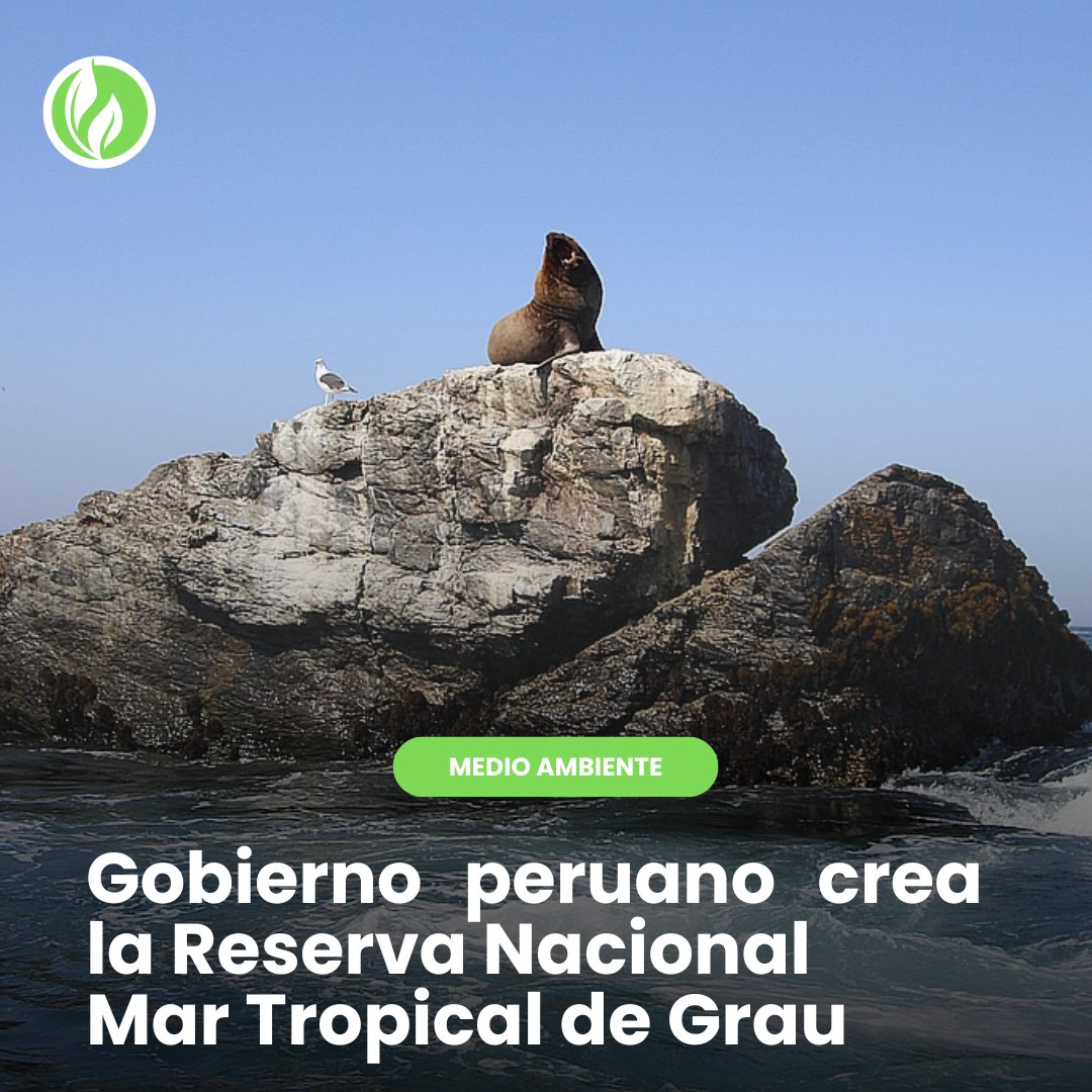 Perú ya tiene una nueva Reserva Nacional: Mar Tropical de Grau, que abarca Piura y Tumbes 👇