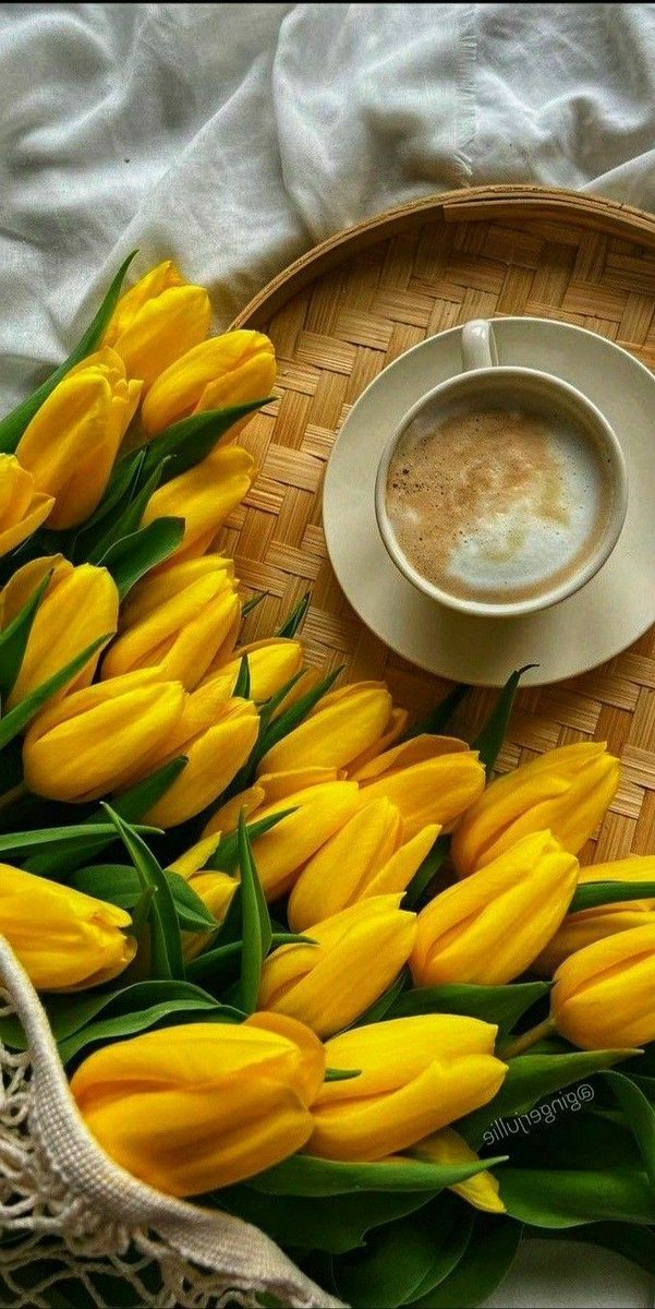 @ritahealer @ParshadGanesh ☕️💛🌷☕️💛🌷☕️💛🌷☕️💛🍀💯 Good Morning my dear Friends and blessings 🌷☕️💛🌷☕️💛☕️💛🍀💯