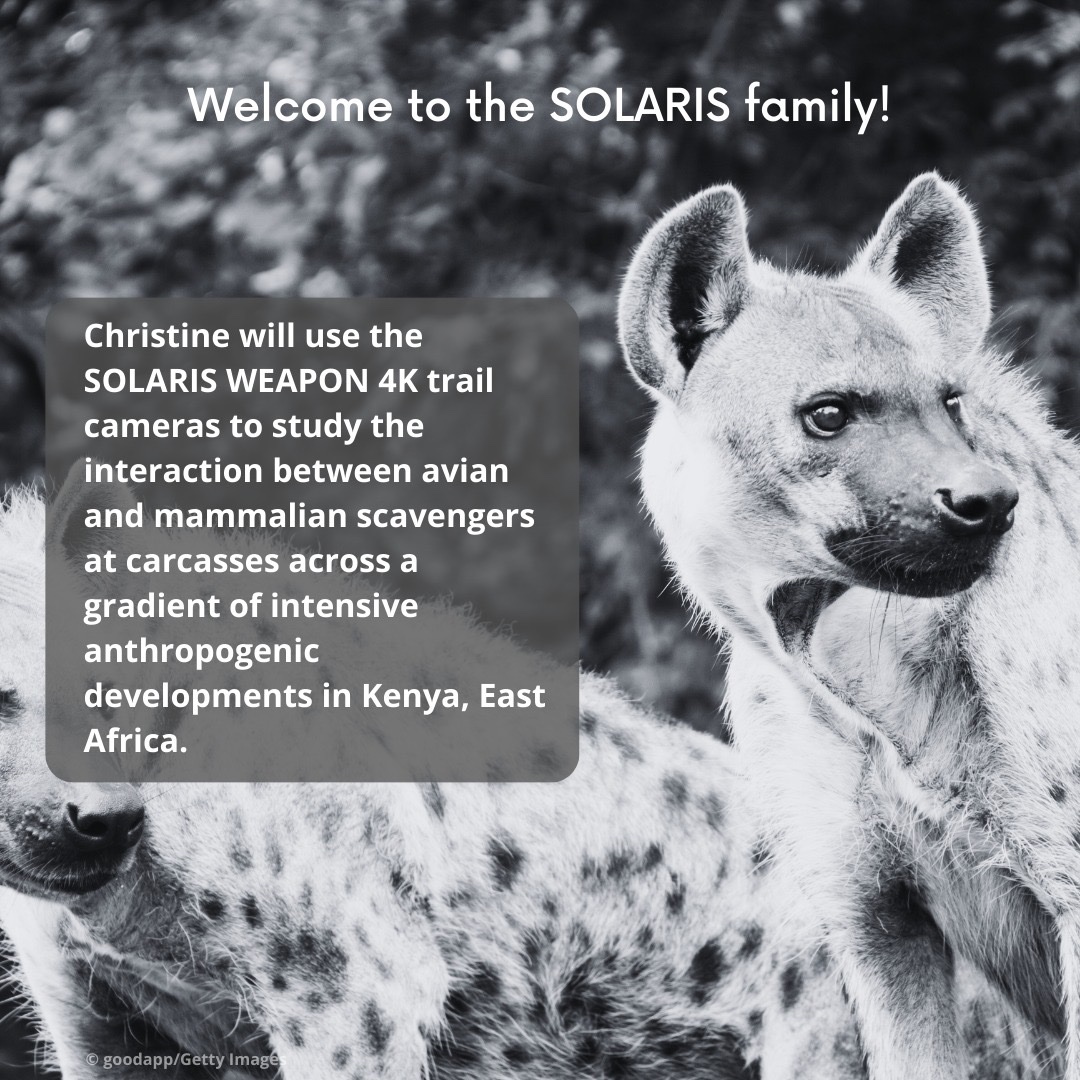 Congratulations, @ScrapNaturalist! You are about to receive ten SOLARIS WEAPON 4K trail cameras very soon! 🏆 Our team wishes you all the success with your research on avian and mammalian scavengers, and look forward to seeing the exciting footage that you capture with #SOLARIS!