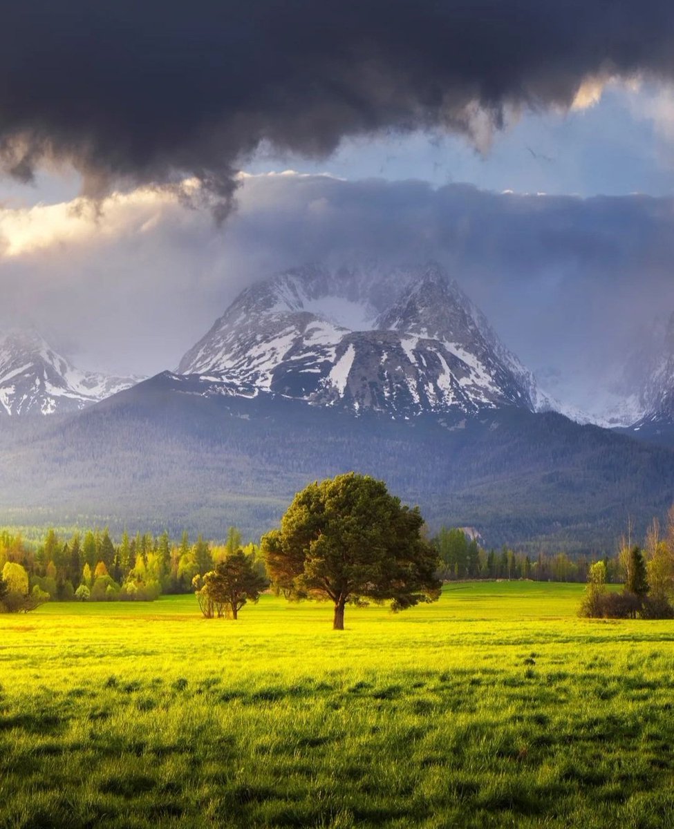 Spring time in Slovakia 🇸🇰