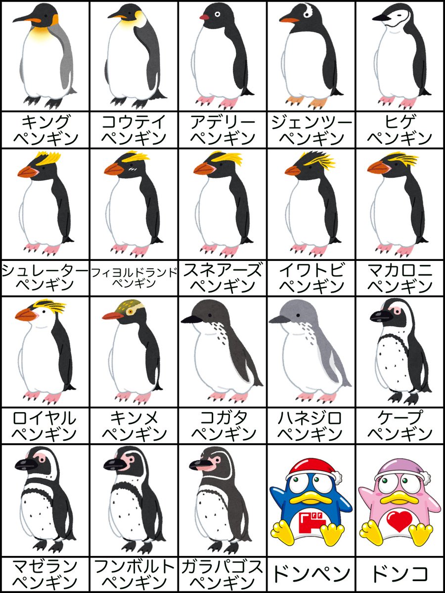 #世界ペンギンの日 ということで ざっくりペンギンの種類をまとめてみました。