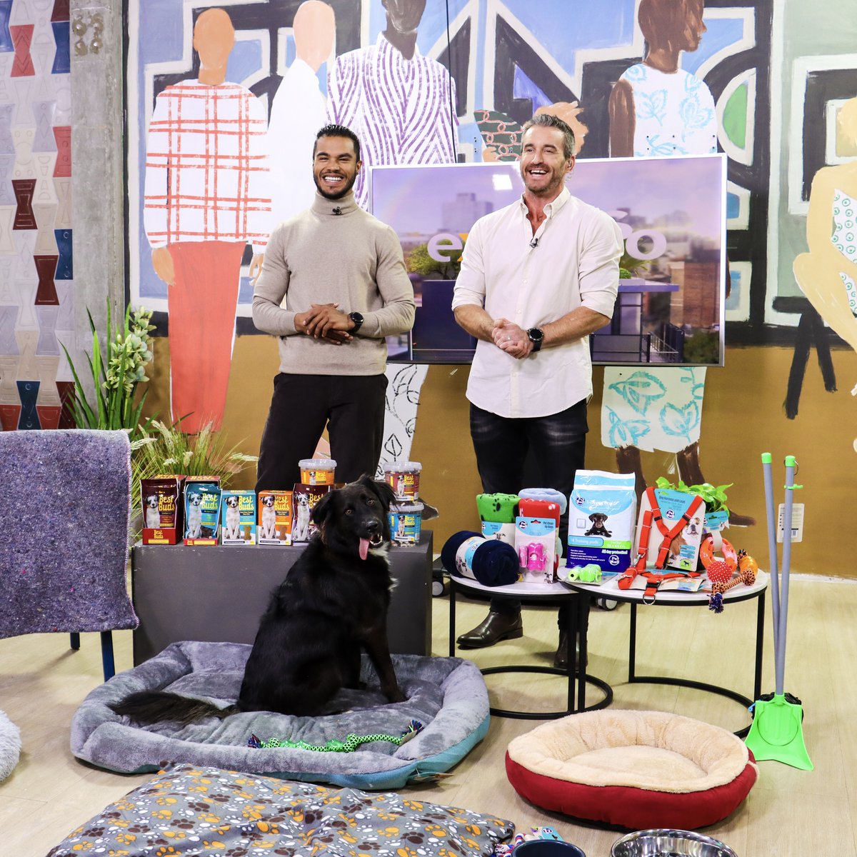 Becoming a new pet parent can be daunting 🫣 so, @TheCrazyStore is here to help you kickstart the adventure with confidence! To make your furry friend feel right at home, get all of the must-have essentials, from beds & blankets to toys & treats, in-store today 🐾 #ExpressoShow