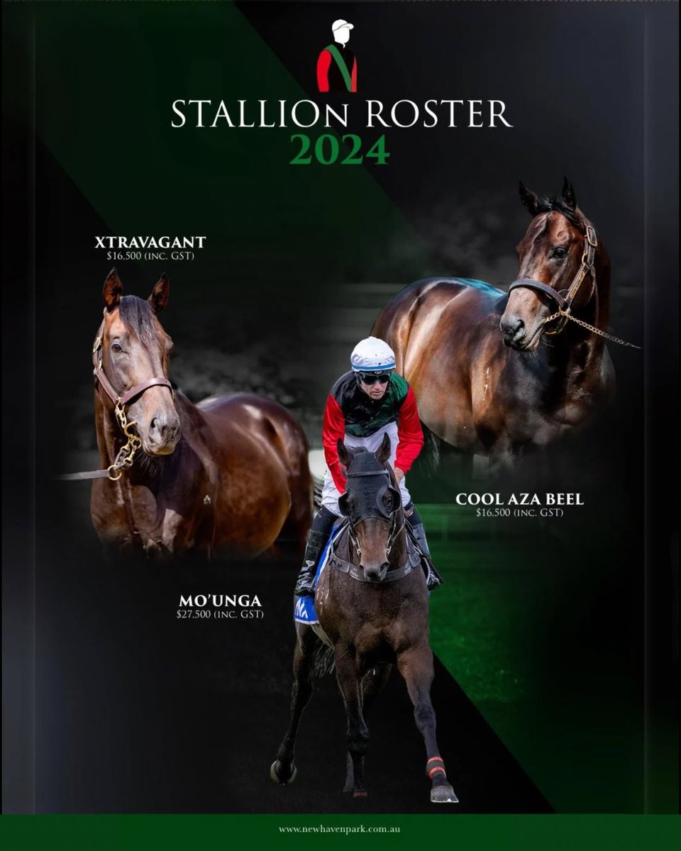 We’re delighted to announce our 2024 Stallion Roster 🏉 MO’UNGA - $27,500 inc. GST ❄️ COOL AZA BEEL - $16,500 inc. GST 💎 XTRAVAGANT - $16,500 inc. GST #ourbrandyoursuccess