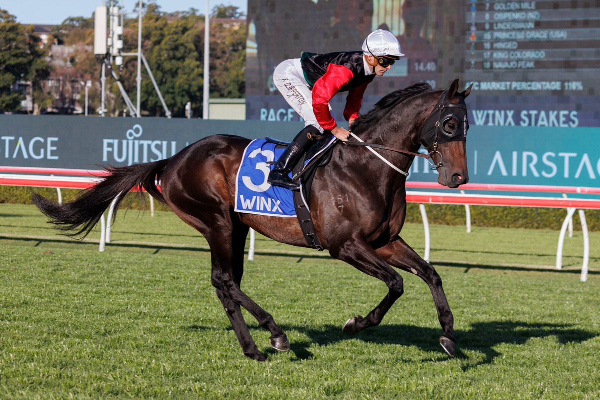 🚨 STALLION NEWS 🚨 MO'UNGA will stand at @NewhavenPark this season for a fee of $27,500 including GST 🌟 'It’s an exciting time for us at Newhaven Park, to be retiring a horse of Mo’unga’s calibre to the stud.' - John Kelly 🗣️