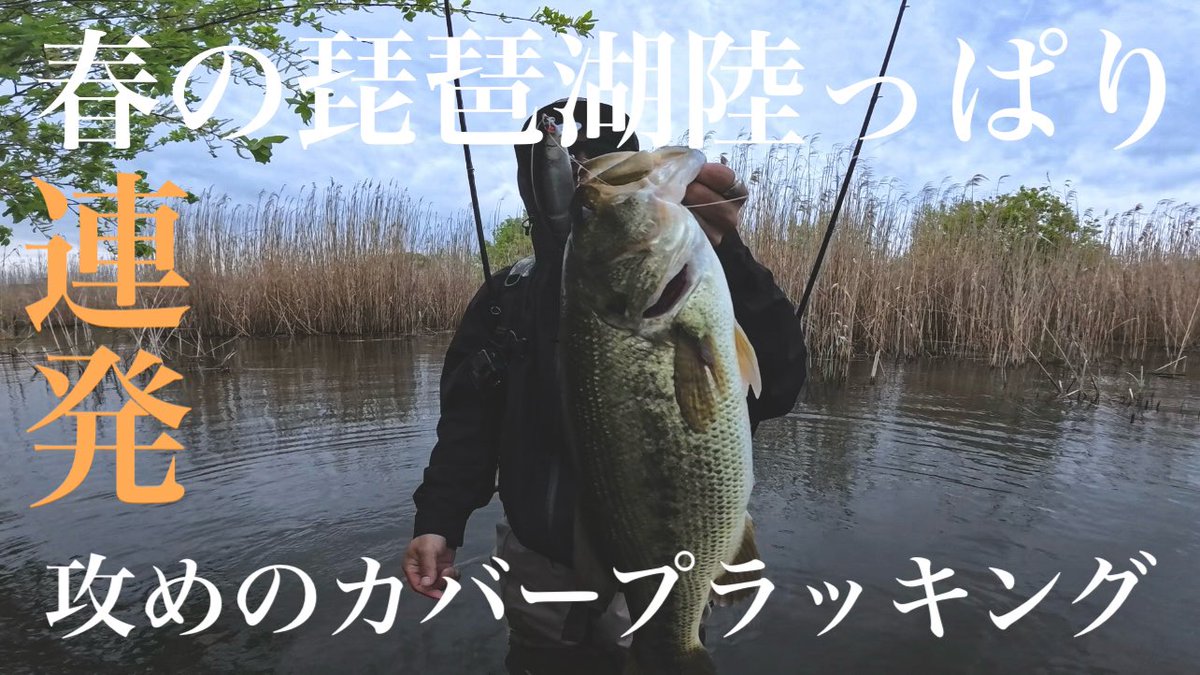 weeblle's tweet photo. ヤタベイトテック
カバー狙いで…

https://t.co/stQAbujo8S https://t.co/qcgFl5UvqK