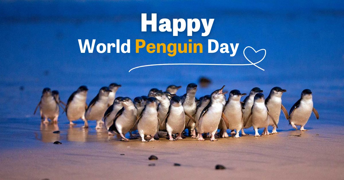 #DYK that penguins can march up to 60 miles across sea ice? 

It's #WorldPenguinDay🐧

Let's create awareness to save and conserve this beautiful species from going extinct.❤️

#ActNow 
#GlobalGoals
#ForOurPlanet 🌍