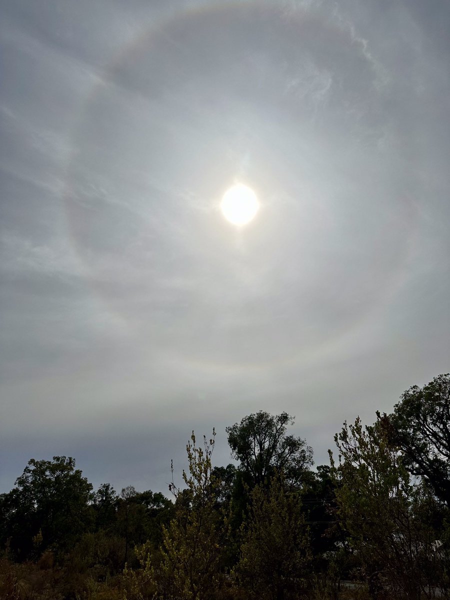 A 22° halo around the sun this morning in the #PerthHills indicating ice crystals suspended in the atmosphere. If only this would translate into some much needed rain 🌧️ #PerthWeather #drought