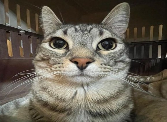 ghost (@vier6_) on Twitter photo 