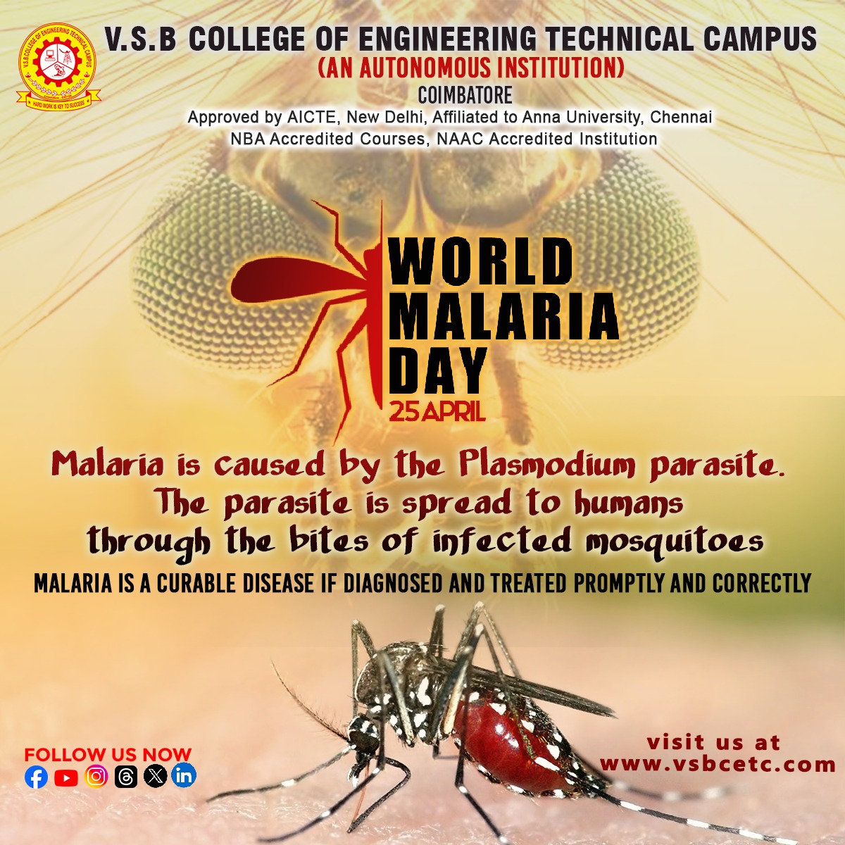 #worldmalariaday #malariamortality #insects #fightmalaria #dengue #awarness #health #malariacampaign #virus #healtylifestyle #malariamustdie #dailyupdates #2024