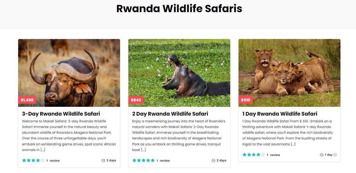 Discovering Exceptional Rwanda Wildlife Safaris
- Key Rwanda Wildlife Safari Destinations
- Rwanda Wildlife Safari Big Five & Beyond
- Best Time of Year to for Rwanda Wildlife Safari
makalisafaris.com/exceptional-rw… #Rwanda #RwandaSafaris #Africa #AfricaSafaris #RwandaTours