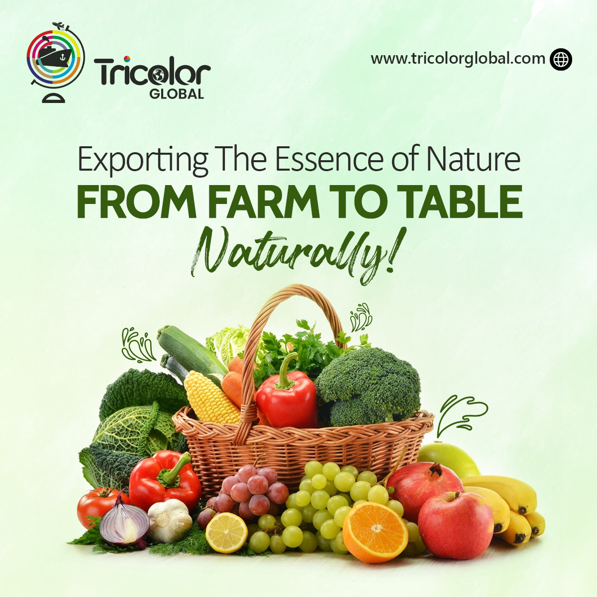 'Bringing the freshness of the farm straight to your family table 🌱✨ Experience the essence of nature with our handpicked produce! From farm to family, we're dedicated to delivering the best quality for your loved ones. #FarmToFork #NatureLovers #HealthyLiving 🍅🥕🍎'