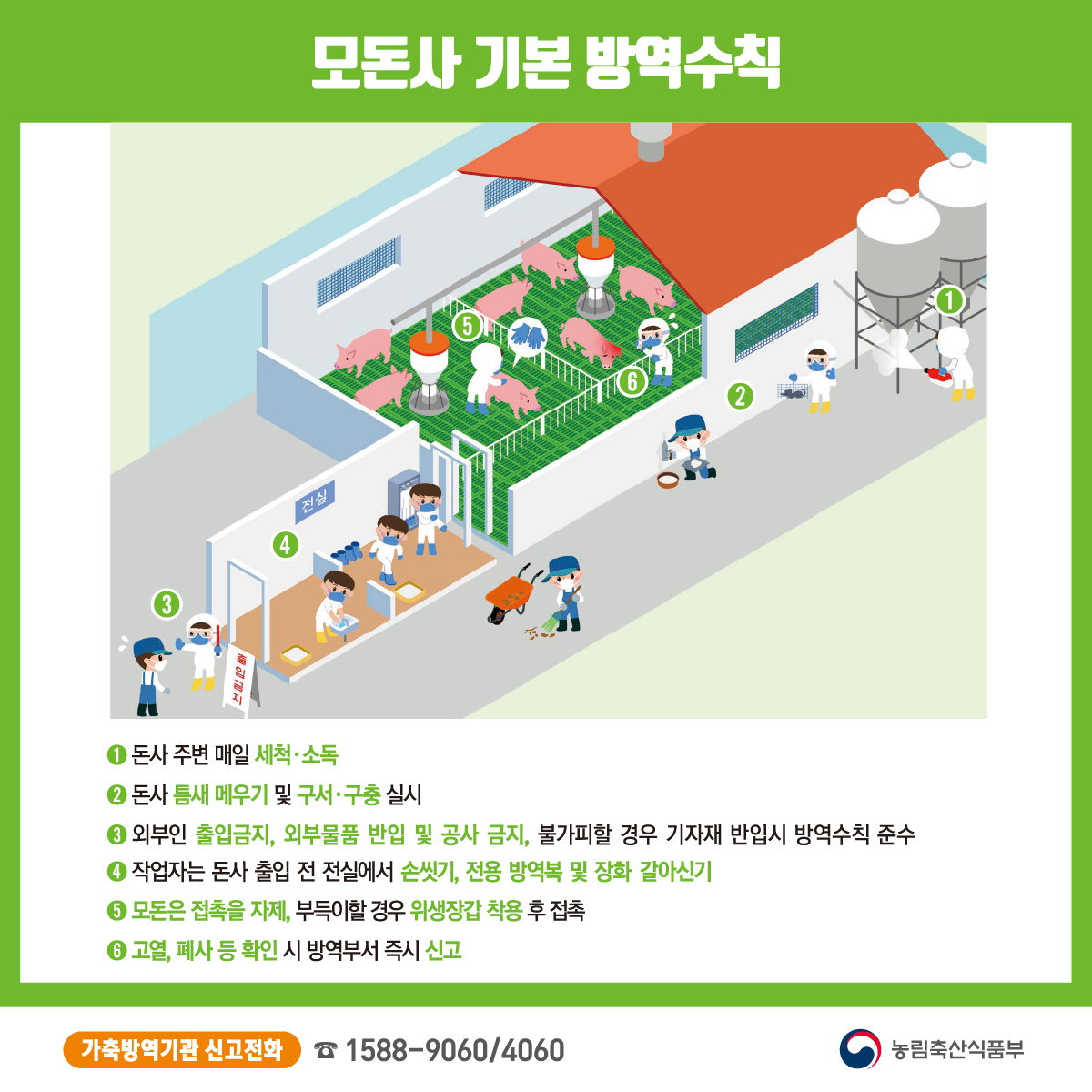 ASF 확산 방지를 위해 모돈사 기본 방역 수칙을 꼭 지켜주세요! ✅돈사 주변 매일 세척, 소독 ✅돈사 출입 전 손씻기와, 전용 방역복 및 장화갈아신기 ✅고열, 폐사 등 확인 시 방역부서 즉시 신고 #아프리카돼지열병 #ASF