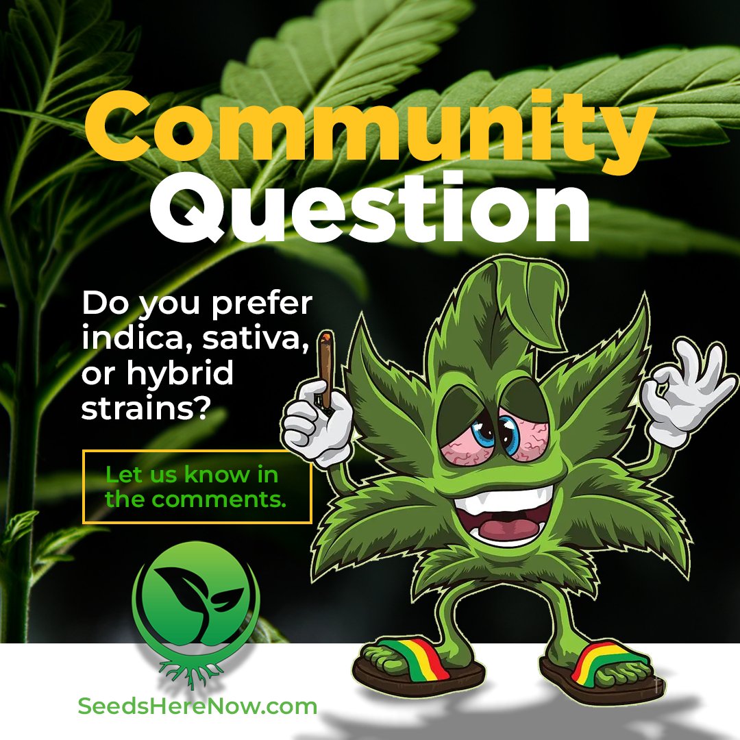 Also, give us the reason why. It may offer some insight to some of the beginners out there.  

#seedsherenow #growbudyourself #CannabisCommunity #cannabislife #420friendly #420Life #cannabisgrowers