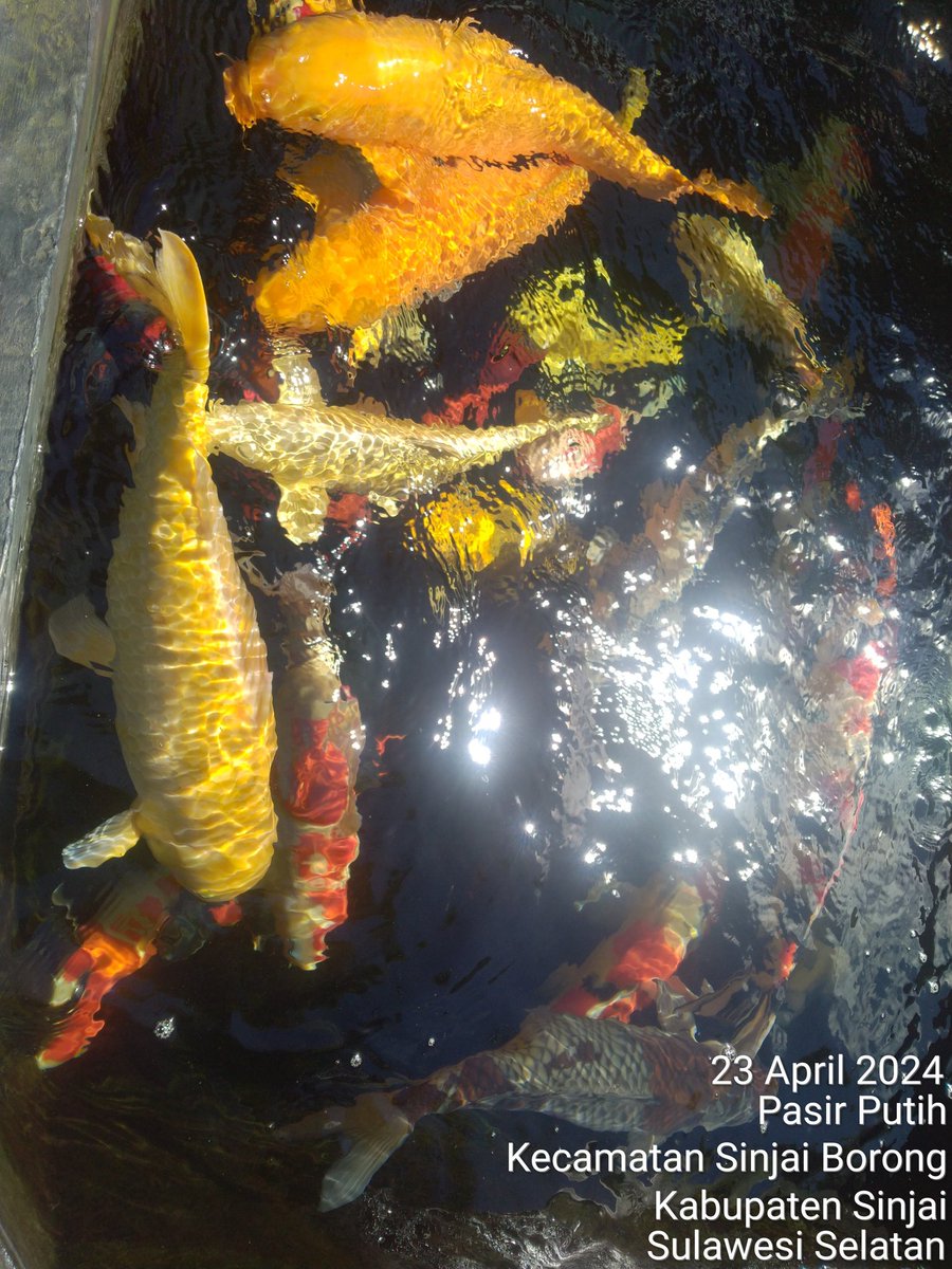 @5thy4chmad, S.Pi.,M.Si tweet media