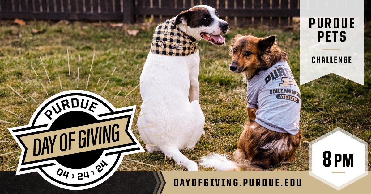 🐾 Scroll through those camera rolls or hurry to the closet! This hour, when you tag us in a photo of your pets in #Purdue gear, you could help us win $750 in bonus funds. Be sure to use @PurdueBiolSci and #PurdueDayofGiving in your post!