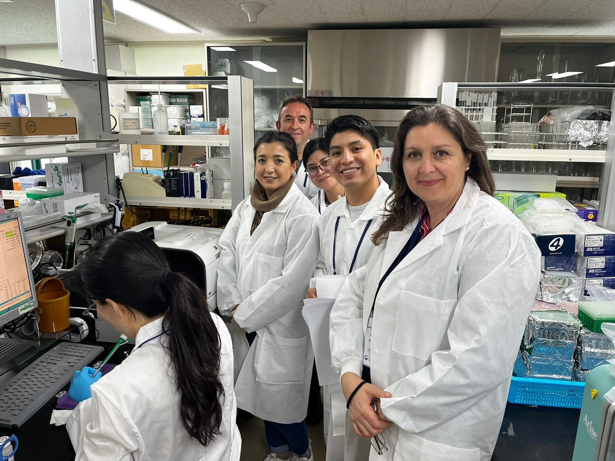 HANS BANK tweet media