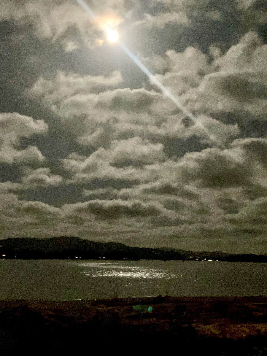 Was so beautiful out last night , me and my Lilly Bug went for a walk over to the bay the moonlight was so bright this was at 1 am . Will be posting a video of our walk in my Tik Tok in a little bit right now going live on there