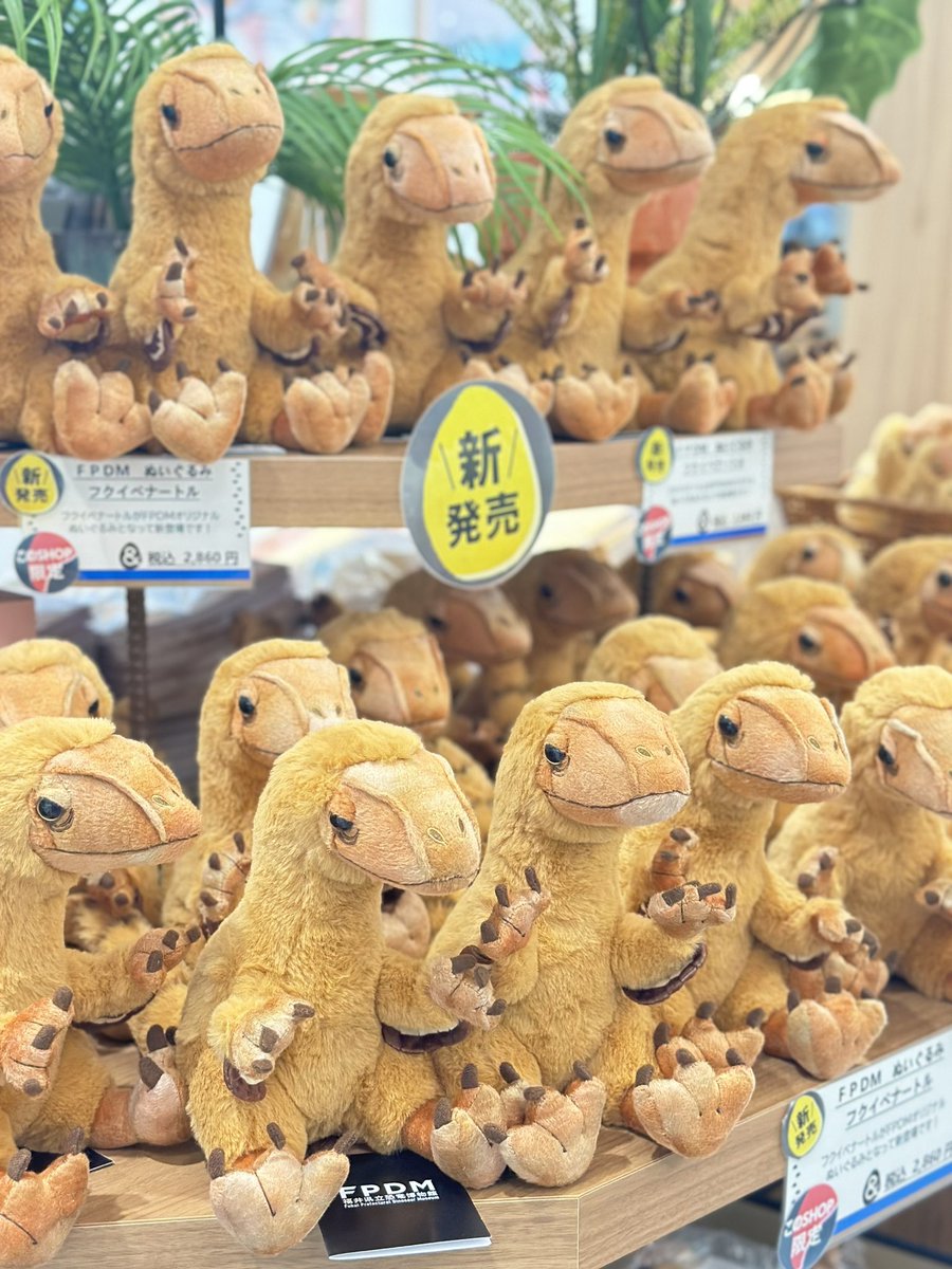 福井恐竜博物館限定品　羽毛恐竜トロオドン　ぬいぐるみ おはようございます☀ ゴールデンウィークに間に合うように企画した新