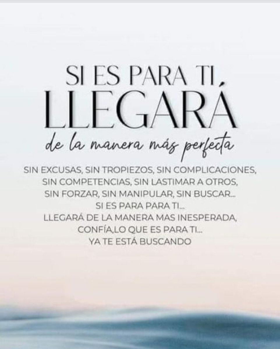 imanol ibarrondo tweet media