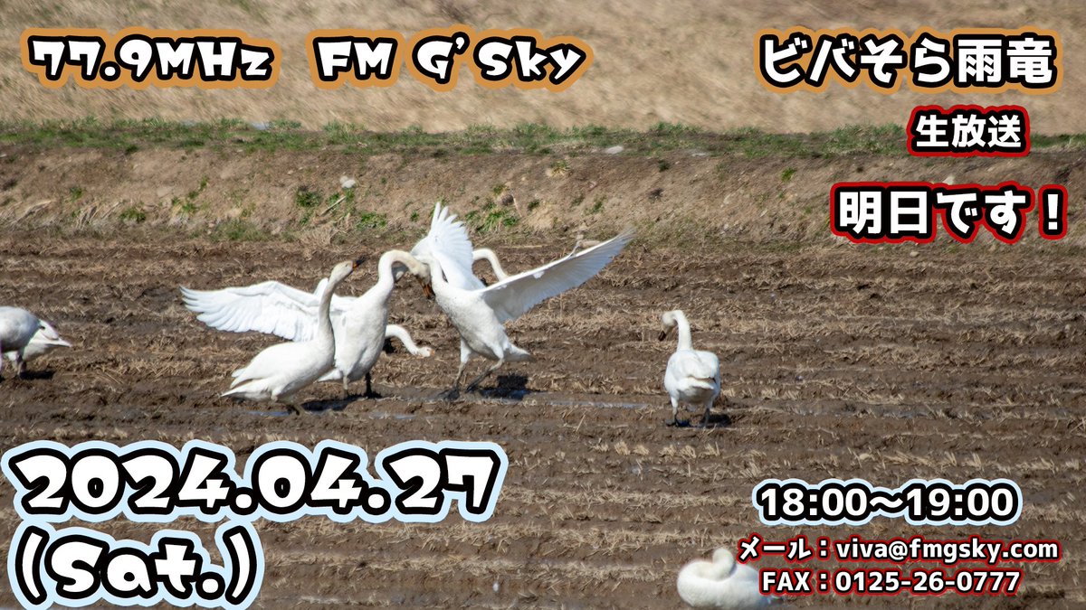 【ビバそらの輪［雨竜回］📻】04.27
明日のこの時間は77.9MHz / FM G'Sky ビバそら雨竜の放送です！

メールやFAXで最近の近況をぜひ、教えてください！
メール：viva@fmgsky.com
FAX　 ：0125-26-0777
ぜひ、井戸端会議にご参加ください☻

#北海道雨竜町 #ビバそら雨竜 #fmgsky