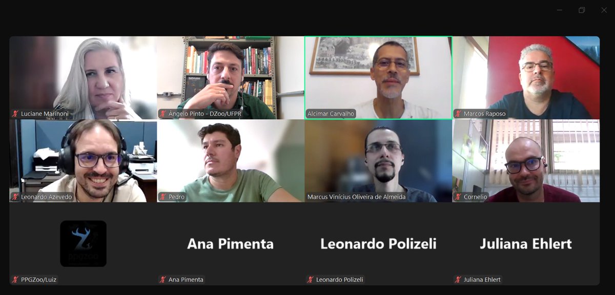 Ângelo Parise Pinto tweet media