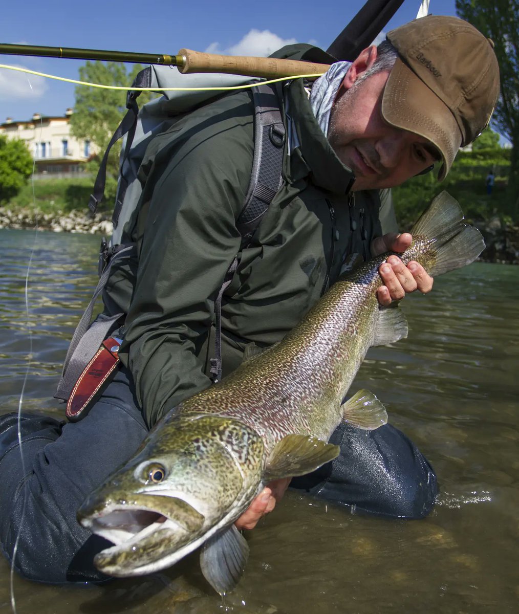 Saltwater on the Fly tweet media