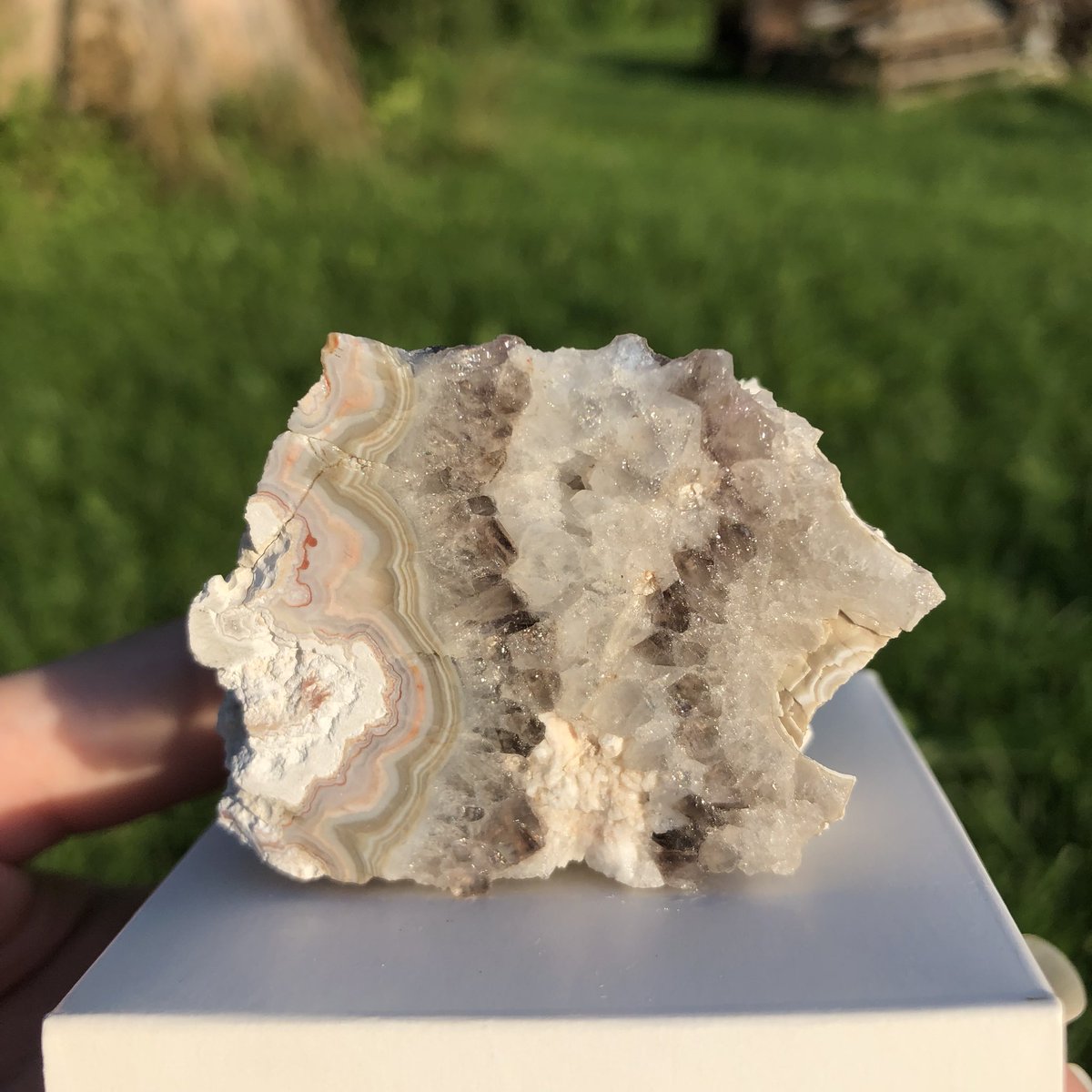 LS_Gems_Jewelry's tweet photo. Specialty #canadian  Agate from Nova Scotia🇨🇦 Including dreamy Amethyst growing within its matrix!
 More specimens available in the shop
✨ ☟︎ ☟︎ ☟︎ ✨
     https://t.co/ERK6zmTLHd https://t.co/U6AAtZWE7p