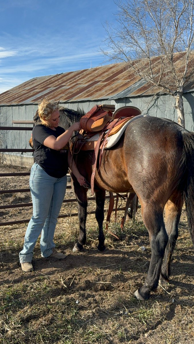 FemaleRancher's tweet photo. Practice makes perfect! π Join me for horse lessons with Louis, where we're always learning something new! Who else is diving into a new hobby? #HorseLessons #LearningCurve #NewHobby #PracticeMakesPerfect https://t.co/dvj7O970JV