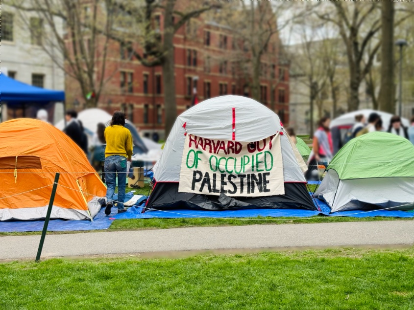 On Wednesday afternoon, Pro-Palestine Harvard student protestors set up camp in Harvard Yard harvardmagazine.com/2024/04/harvar… #harvard #harvarduniversity #academia