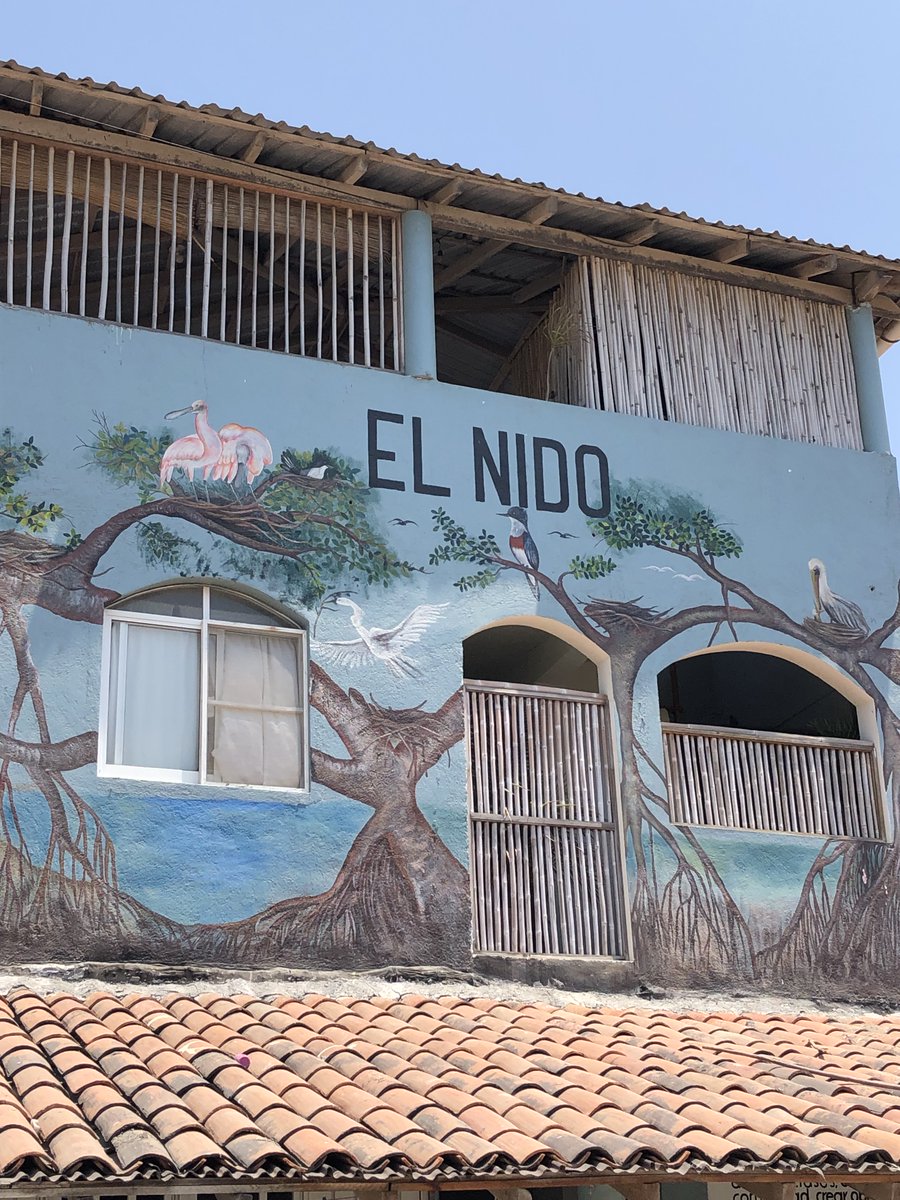 El Nido is another local must-see. You can rent a room, take a class and get to know locals and expats here.