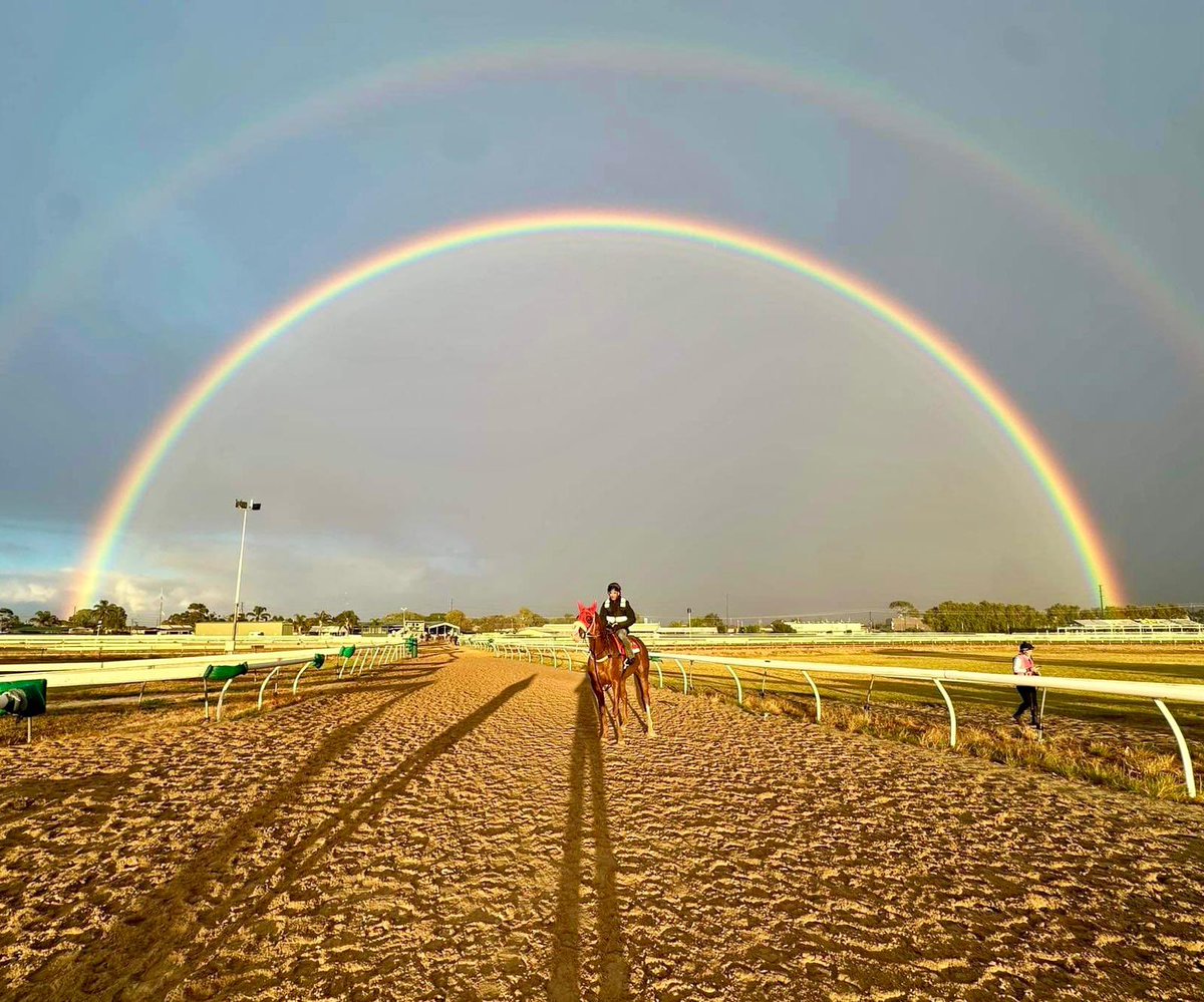 What could be better at the end of the rainbow?🌈 🐎 #FoxyFemme #ourpotofgold #winnerwinner #ourofficeisbetterthanyyours