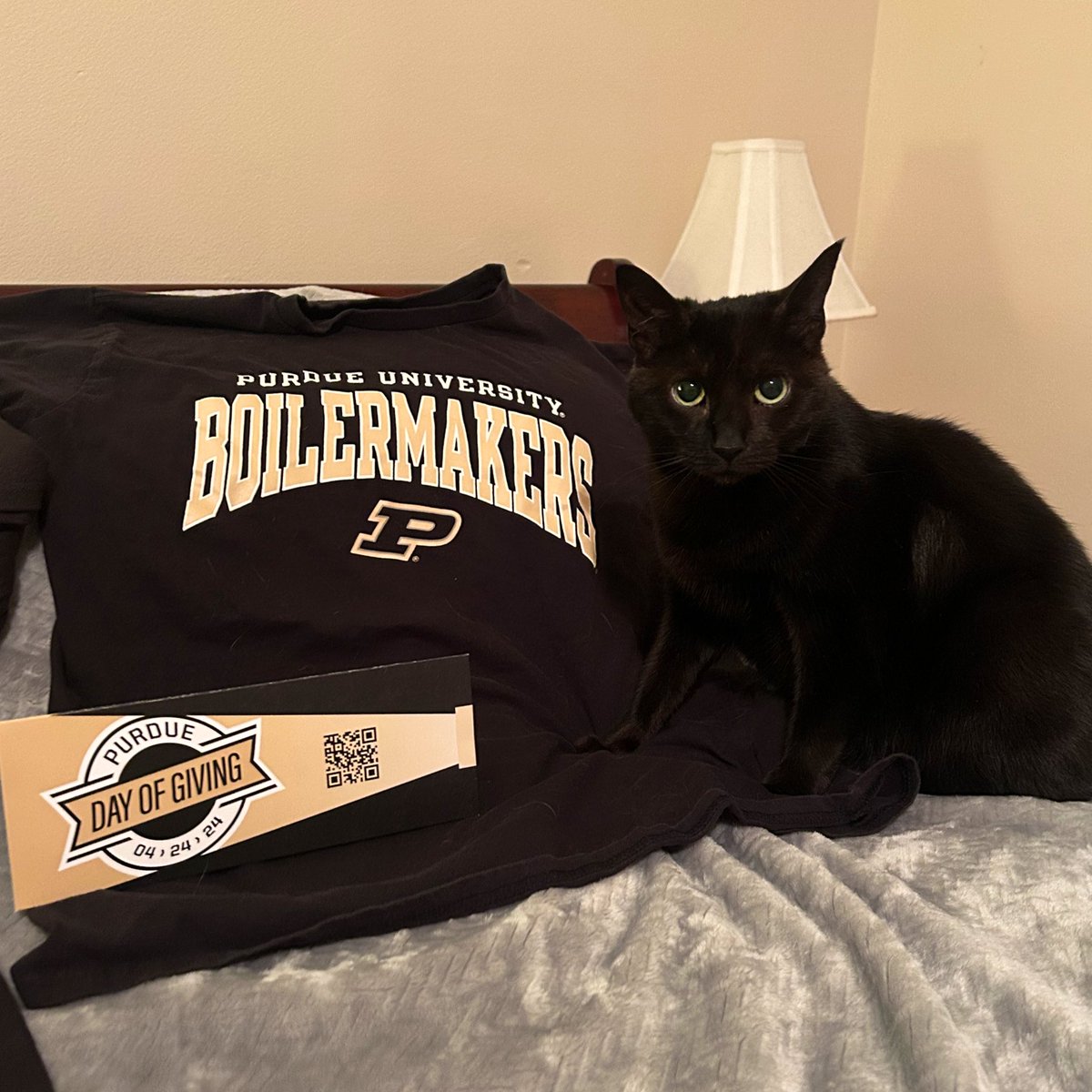 As a black cat, Minnie is always on brand for Purdue. 🐈‍⬛💛🚂🖤

#PurdueUR 
#PurdueDayofGiving