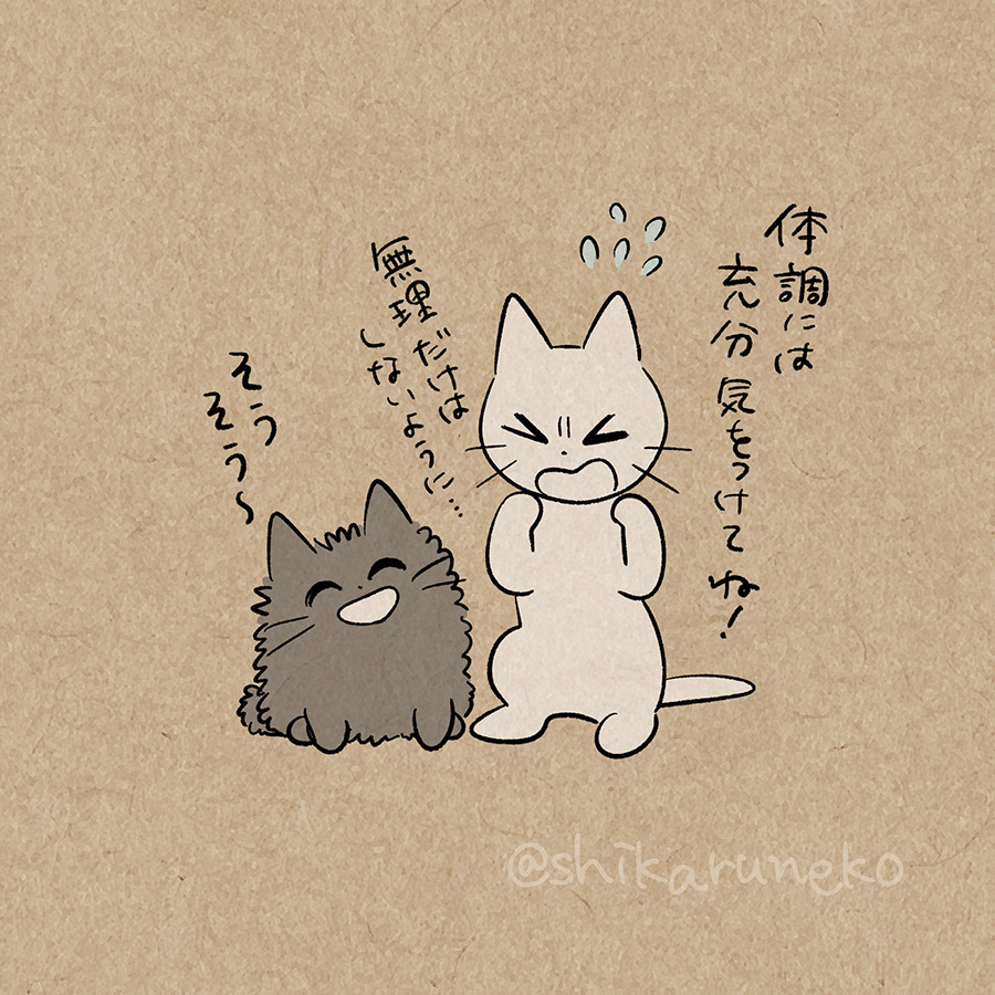 ゴールデンウィーク期間も仕事に励む人と、しかるねこと、あまやかすねこ