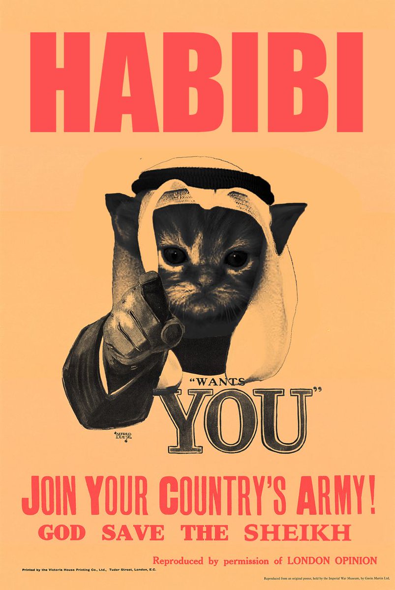alphahuntooor's tweet photo. @WatcherGuru time to go all in on $HABIBI
@habibixyz_sol https://t.co/SJ3ZDDem34