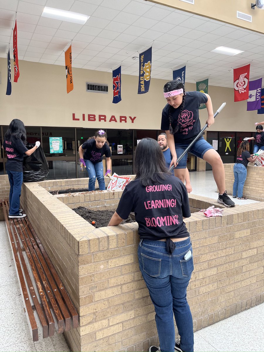 BJS Goslins tweet media