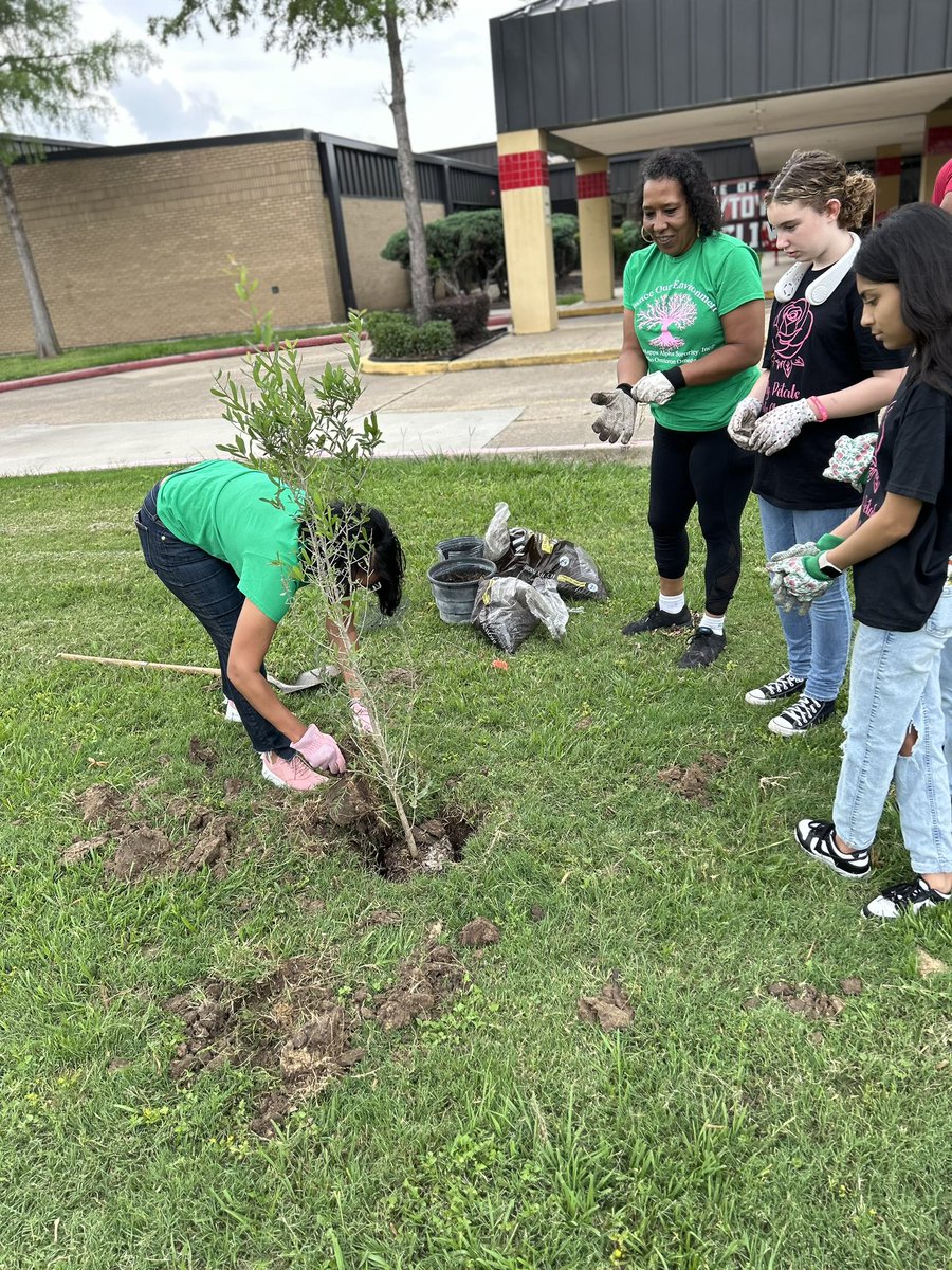 BJS Goslins tweet media