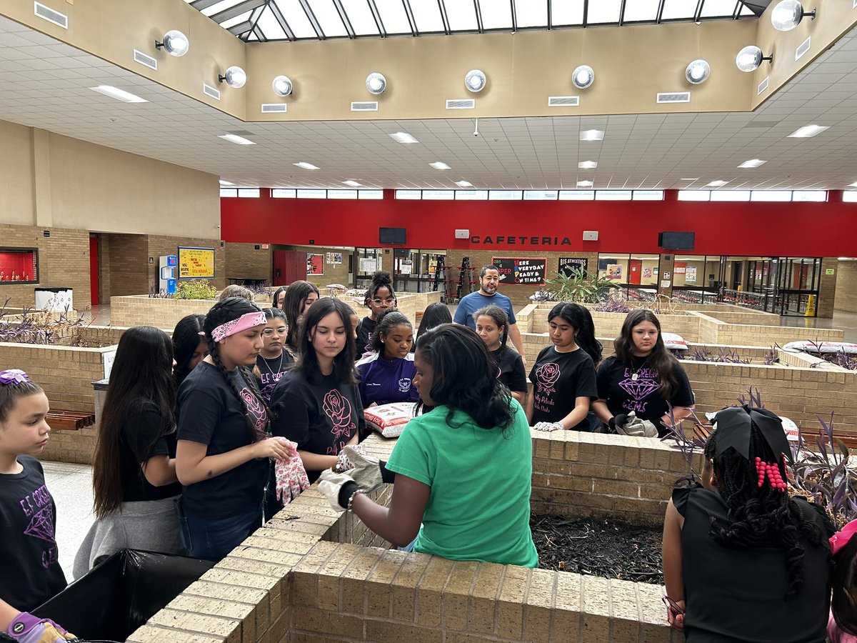 BJS Goslins tweet media