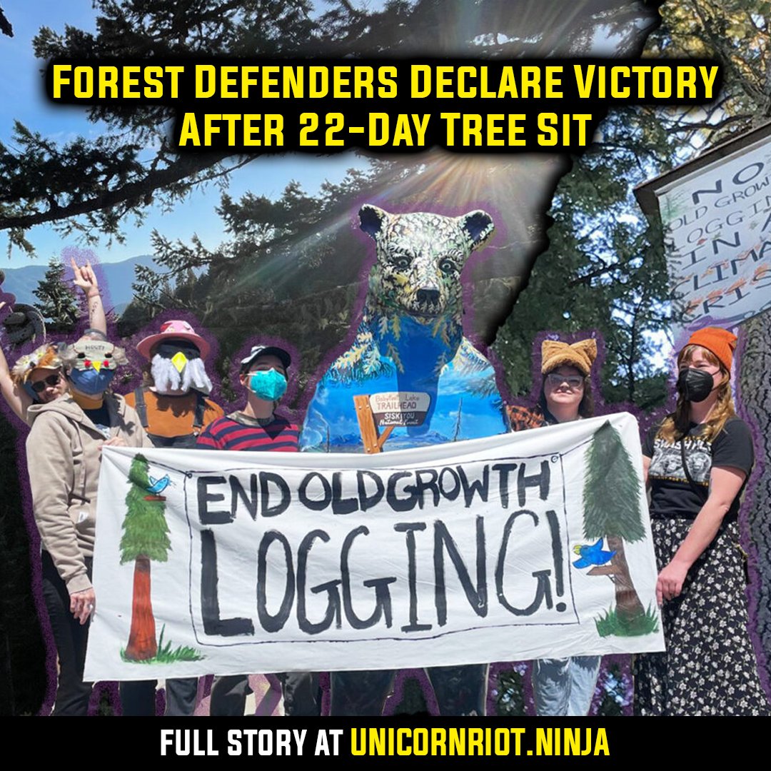 Forest Defenders Declare Victory After 22-Day Tree Sit Environmentalists are declaring victory after occupying a stand of old growth forest for three weeks to prevent trees from being logged. Full story: unicornriot.ninja/2024/forest-de… Forest defenders launched a tree sit on April 1 to