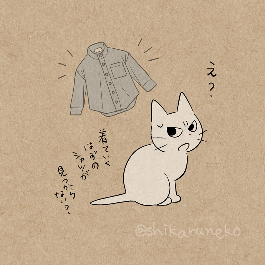 持ってるはずの服が見つからない人を叱ってくれる猫